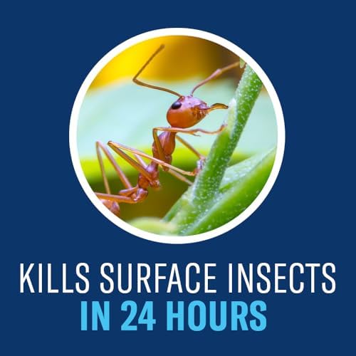 BioAdvanced 700289G Complete Insect Killer for Soil and Turf Pest Control, 20 Pound, Ready to Spread Granules