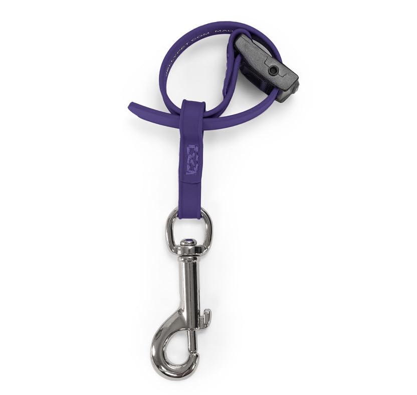 Jelly Pet Safety Tether for Table (Lime)