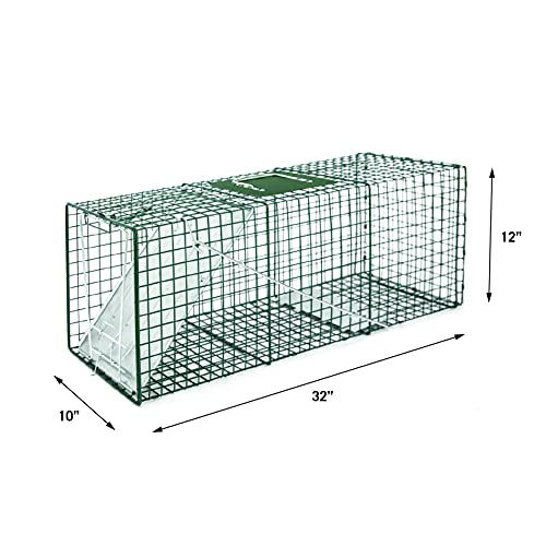 HOMESTEAD 2-Pack Live Animal Trap - Specialized for Raccoons, Opossums, Groundhogs, Skunks, Feral Cats, Squirrels - Heavy Duty Steel Traps, 1-Door, Green, Humane Catch & Release Animal Trap,89-302