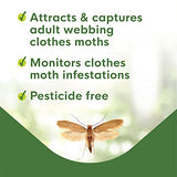 ENOZ Biocare Closet Moth Traps – Safely Attracts & Kills Clothes Moths at Home 1 Pack (2 Total)