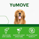 Adult Dog Tablets | Hip and Joint Supplement for Dogs with Glucosamine, Chondroitin, Hyaluronic Acid, Green Lipped Mussel | Dogs Aged 6 to 8 | 120 Count Tablets, Treat Colored