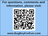 BugBoy4Ever Flightless (Drosophila hydei) Fruit Fly Culture - *Newly inoculated*