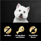 Cesar Filets in Gravy Wet Dog Food Wood-Grilled Chicken Flavor, 1.76 oz. Mini-Pouch, 20 Pack