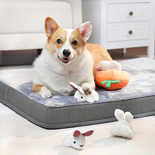 Interactive Hide and Seek Squeaky Dog Plush Toy, Rabbit and Carrot, Orange and White, 5-Pack