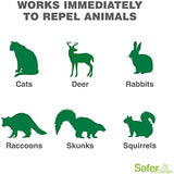 Safer Brand Garden SG3145 Animal Repellent Ready-to-Use Spray – Dual-Action Formula Repels Birds, Cats, Deer, Dogs, Groundhogs, Rabbits, Raccoons, Skunks & Squirrels – Protects up to 375 Sq Ft