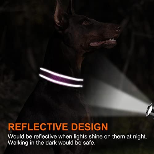 Joytale Personalized Dog Collars, Reflective Nylon Collar with Engraved Name Plate, Customized for Large Dogs, Purple, L