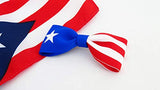 Puerto Rico Hair Accessories for Girls 3.5 Inch Flag Hair Bow For Toddlers Bows For Little Girls With Clips 2 Pack For School Dance Event