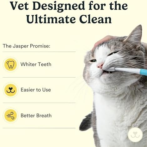 Jasper Microbrush Cat Toothbrush, Soft-Bristled Toothbrush Kit for Felines & Small Dogs, Premium Non-Slip Handle with 2 Replaceable Tooth Brush Heads, Use with Cat Toothpaste