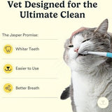 Jasper Microbrush Cat Toothbrush, Soft-Bristled Toothbrush Kit for Felines & Small Dogs, Premium Non-Slip Handle with 2 Replaceable Tooth Brush Heads, Use with Cat Toothpaste