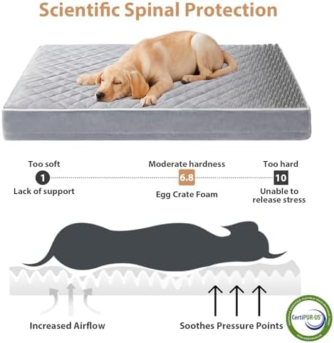 WNPETHOME Orthopedic Dog Beds for Large Dogs, Extra Large Waterproof Dog Bed with Removable Washable Cover & Anti-Slip Bottom, Egg Crate Foam Pet Bed Mat, Multi-Needle Quilting XL Dog Crate Bed