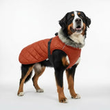 LUVMOJO XXXXL Dog Winter Coat for Giant Breeds, Heavy-Duty Warm Fleece Jacket for Extra Large Dogs, Waterproof Reflective Pet Clothing with Elastic Chest Band, Outdoor Cold Weather Outfits & Overalls