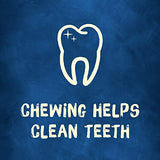 Purina Busy Bone Adult Dog Chew Bone Treats, Original - 10 ct. Pouch