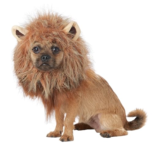California Costumes, King of The Jungle - Lion, Dog Costume Medium