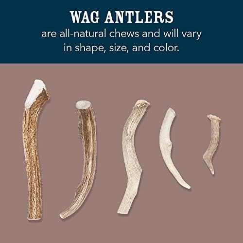 Amazon Brand - Wag Dog Deer Antler Chew, Naturally Shed, Whole, Large 8-9.5 inches (Best for Dogs 30-45 lbs), 3.20 Ounce (Pack of 1)