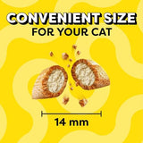 Temptations Jumbo Stuff Crunchy and Soft Cat Treats Tasty Chicken Flavor, 5.3 oz (Pack of 10)