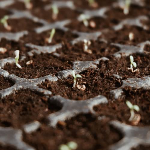 Premium Organic Coconut Coir Bricks - 6 Pack of 13.8 Gallon Bricks for Planting, Gardening, and Potting Soil Substrate. Low EC & pH Balanced 100% Organic Peat Moss Mix with Fiber from Coconut Husks