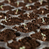 Premium Organic Coconut Coir Bricks - 6 Pack of 13.8 Gallon Bricks for Planting, Gardening, and Potting Soil Substrate. Low EC & pH Balanced 100% Organic Peat Moss Mix with Fiber from Coconut Husks