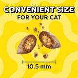 Temptations Classic Crunchy and Soft Cat Treats Savory Salmon Flavor, 48 oz. Bag