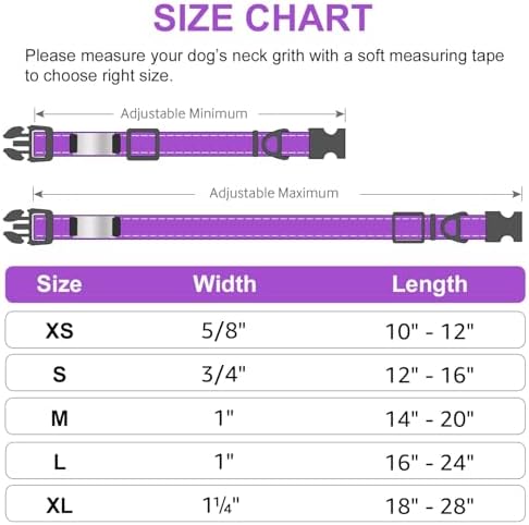 Joytale Personalized Dog Collars, Reflective Nylon Collar with Engraved Name Plate, Customized for Large Dogs, Purple, L