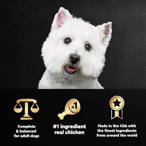 CESAR Adult Wet Dog Food Filets in Gravy Rotisserie Chicken Flavor, 3.5 oz. Easy Peel Trays, Pack of 24
