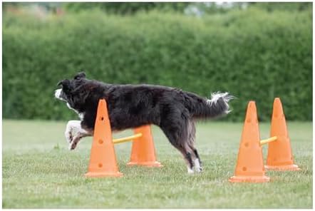 TRIXIE Dog Agility Hurdle Cone Set – Dog Agility Set with Height Adjustable Crossbar for Beginners & Advanced, Dog Agility Equipment for Dog Obstacle Courses – 6 x Cones, 3 x Agility Rods