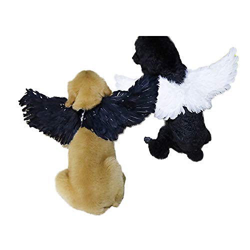 WeeH Pet Halloween Costume Cosplay Angel Devil Black White Wing for Dog Cat Rabbit Piggy - Funny Gift at Halloween Party Anime Theme Birthday Christmas (Black, Large)