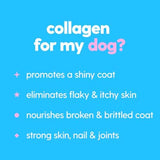 Skin and Coat Supplement for Dogs, Cats | Taily Liquid Collagen for Dogs | Itch Relief for Dogs with Allergies, with Grass Fed Collagen, Biotin, Vitamin C and Hyaluronic Acid | Made in USA