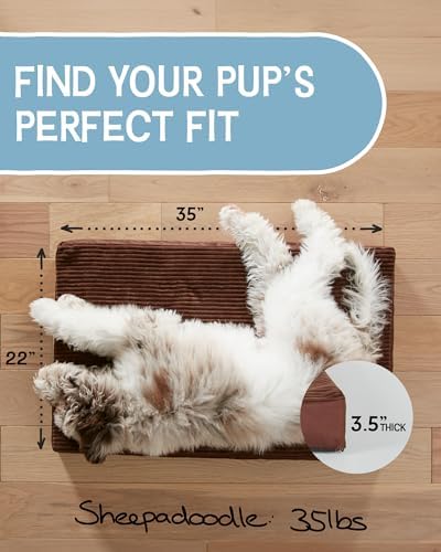OhGeni 35 Inch Orthopedic Waterproof & Machine Washable Dog Bed for Large Pets, 20D Egg Crate Foam Stable Support, Non-Slip Bottom and Removable Cover, Tear-Resistant Invisible Durable Zipper(Brown)