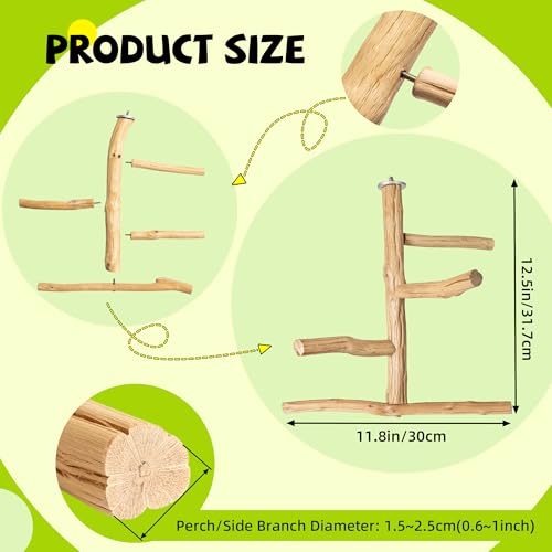 Pecirvoli Natural Wood Bird Perch & Play Stand for Parakeets/Cockatiels - Multi-Level Cage Accessory with Training Branch