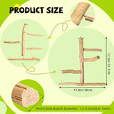 Pecirvoli Natural Wood Bird Perch & Play Stand for Parakeets/Cockatiels - Multi-Level Cage Accessory with Training Branch
