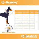 Soft Dog Cone Collar, 2 PCS (for Exact Size) Flexible Plastic Cone for Dogs After Surgery, Dog Recovery Collar, Adjustable E-Collar for Large/Medium/Small Dogs Cat, Comfy Elizabethan Collar (S)