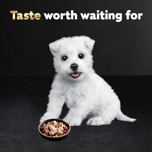 CESAR Puppy Wet Dog Food Classic Loaf in Sauce Chicken & Beef Recipe, (24) 3.5 oz. Easy Peel Trays