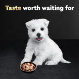 CESAR Puppy Wet Dog Food Classic Loaf in Sauce Chicken & Beef Recipe, (24) 3.5 oz. Easy Peel Trays