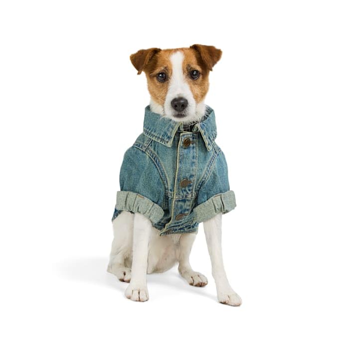 Reddy Icon Denim Dog Jacket Small