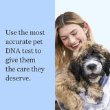 Wisdom Health Panel Breed Discovery Dog DNA Kit: Most Accurate Dog Breed Identification, Test for 365+ Breeds, MDR1 Health Test, Ancestry, Relatives