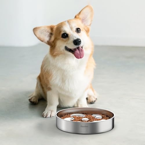 Slow Feeder Dog Bowl, Double Wall Food-Grade Stainless Steel, Heavy Duty with Non-Slip Rubber Base, 2Cups Capacity for Medium Dogs to Slow Down Eating