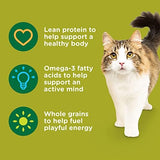 Rachael Ray Nutrish Premium Natural Dry Cat Food, Real Chicken & Brown Rice Recipe, 6 Pounds (Packaging May Vary)
