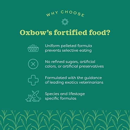 Oxbow Essentials Adult Rat Food - All Natural Adult Rat Food - Veterinarian Recommended- Made in the USA- Rich in Natural Vitamins & Minerals- No Artificial Ingredients- 20 lb.