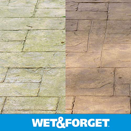 Wet & Forget Outdoor Moss, Mold, Mildew, & Algae Stain Remover Multi-Surface Cleaner, Xtreme Reach Hose End Refill, 48 Fluid Ounces