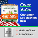 BARK&SPARK Green Grass Chews - Pee Grass Spot Saver Caused by Dog Urine - Urine Neutralizer for Lawn, Gut Health Probiotics & Digestive Enzymes,Lawn Burn from Dog Urine, Grass Burn Spot Chews, Rocks