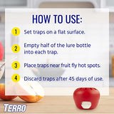 TERRO Indoor Fruit Fly Trap (2-count) | Terro Traps In – Built With Window Sinks