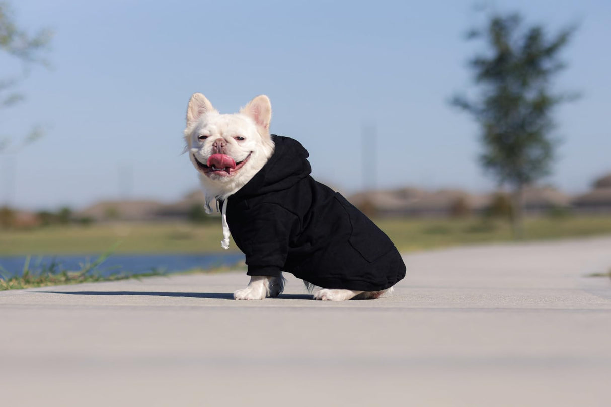 Ellie Dog Wear Zip Up Adventure Dog Hoodie with Hook & Loop Pockets and Adjustable Drawstring Hood - XXS to XXL - Multiple Colors - Comfortable & Versatile Dog Hoodies (Black, XXS)