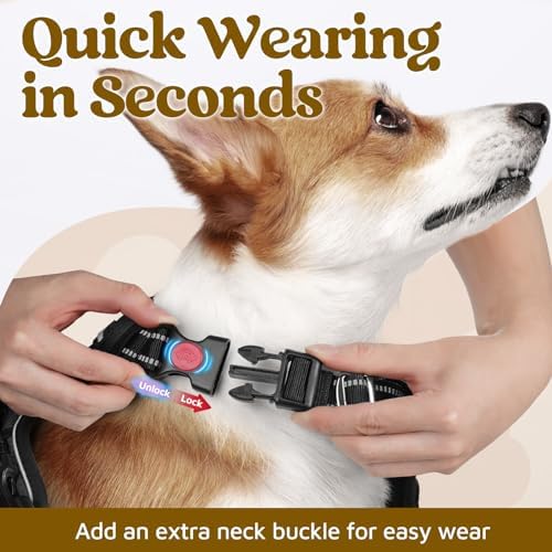 rabbitgoo Dog Harness for Large Dogs, No Pull Pet Vest with 3 Buckles, Adjustable Soft Padded Pet Harness with Easy Control Handle and Reflective Strips, Black, XL