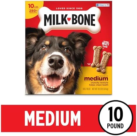 Milk-Bone Original Dog Treats Biscuits for Medium Dogs, 10 Pound