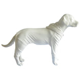 Dog Pajamas Pet Jumpsuits PJS for All Seasons, Velvet Dog Hoodies 4 Legs Four Feet Dog Onesies Stylish PJS Puppy Costume Cotton Liner Warm Pet Clothes for Small Medium Large Dogs White S