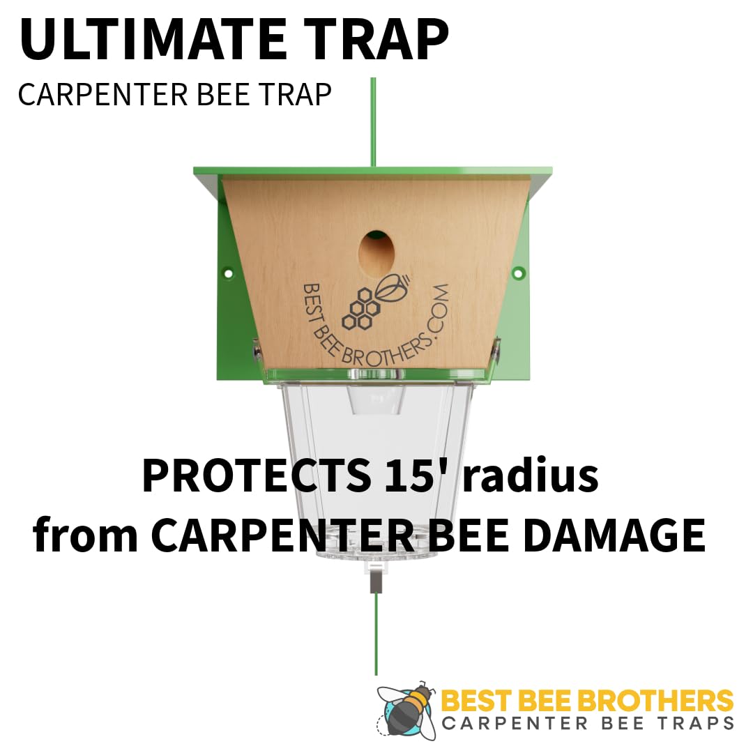Best Bee Brothers Ultimate Carpenter Bee Trap for Outside with Large, Clear External Receptacle, Internal Bee Vault & Spring-Loaded Door, 5.75" L x 6" W x 4.5" H