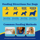 Probiotics for Dogs - 6 Billion CFUs, Dog Probiotics with Prebiotics & Digestive Enzymes for Gut, Immune & Skin Health - Turkey & Pumpkin Flavor, 180 Soft Chews