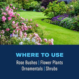 BioAdvanced 3-in-1 Insect, Disease & Plant Mite Control, Ready-to-Use, 24 FOZ