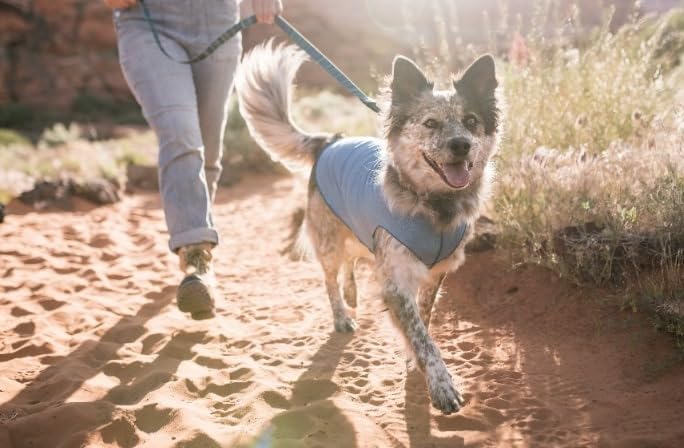 Goldpaw Dog Sun Shirt with UV Protection - Lightweight, Cooling Sun Protection Clothing for Small Dogs - Reduce Heat Absorption - Made in The USA - Machine Washable - Pistachio Green - Size 8