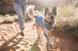 Goldpaw Dog Sun Shirt with UV Protection - Lightweight, Cooling Sun Protection Clothing for Small Dogs - Reduce Heat Absorption - Made in The USA - Machine Washable - Pistachio Green - Size 8